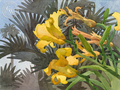 Laguna Lilies, California art by Carolyn Lord. HD giclee art prints for sale at CaliforniaWatercolor.com - original California paintings, & premium giclee prints for sale