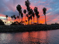 Sunset at the Harbor