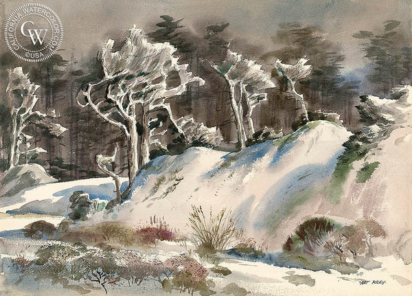 Icy White Night (17 Mile Drive), California art by Art Riley. HD giclee art prints for sale at CaliforniaWatercolor.com - original California paintings, & premium giclee prints for sale