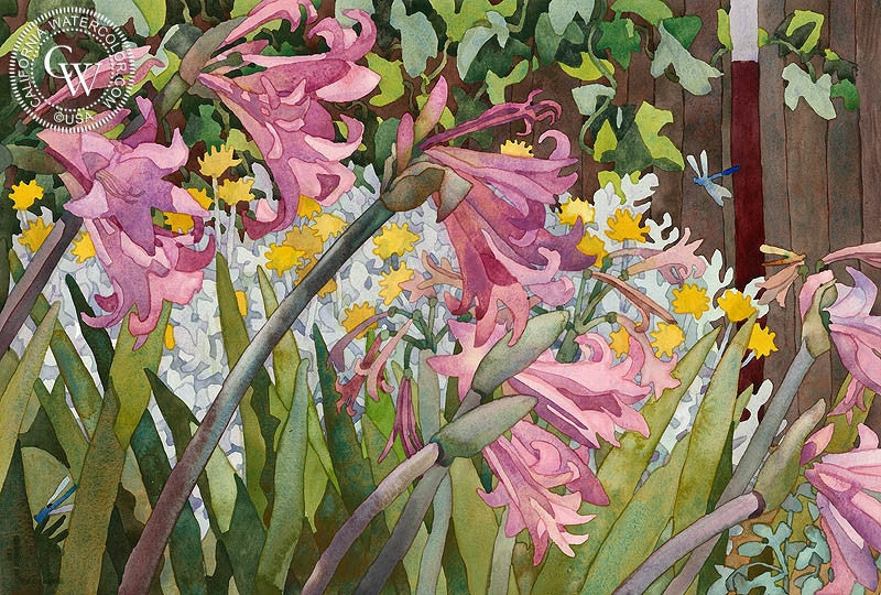 Dragonflies Amongst the Pink Ladies, 1990, watercolor painting by Carolyn Lord  (American art). Fine art giclée print reproduction by California Watercolor for wall decor.
