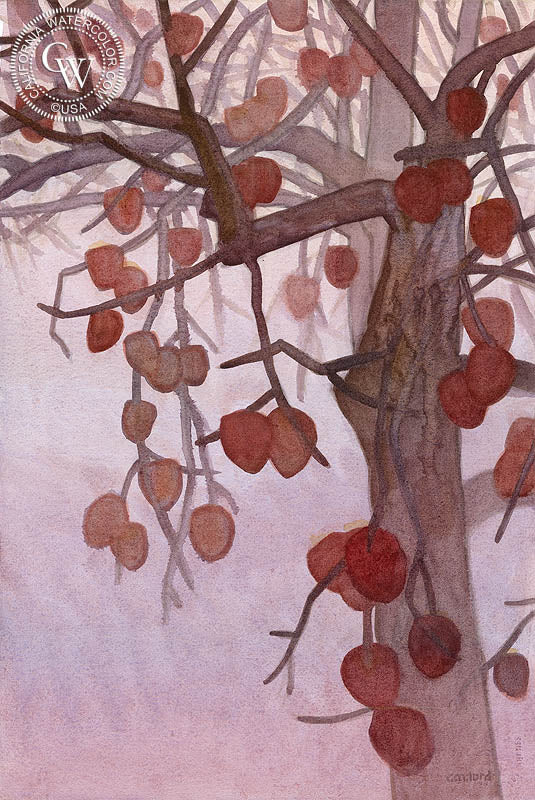 Midwinter Persimmons, 2018, watercolor painting by Carolyn Lord  (American art). Fine art giclée print reproduction by California Watercolor for wall decor.