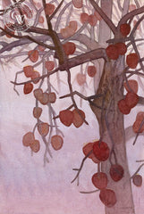 Midwinter Persimmons, 2018, a California watercolor painting by Carolyn Lord. HD giclee art prints for sale at CaliforniaWatercolor.com - original California paintings, & premium giclee prints for sale