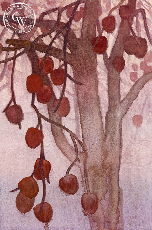 Solstice Persimmons, 2018, watercolor painting by Carolyn Lord  (American art). Fine art giclée print reproduction by California Watercolor for wall decor.