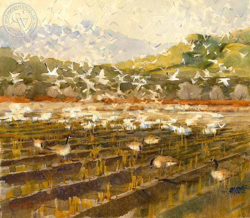Taking Flight, Bosque del Apache, watercolor painting by Frank LaLumia  (American art). Fine art giclée print reproduction by California Watercolor for wall decor.