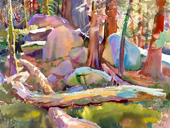 Deep in the Shadows, Sequoia National Park, California art by Glen Knowles. HD giclee art prints for sale at CaliforniaWatercolor.com - original California paintings, & premium giclee prints for sale