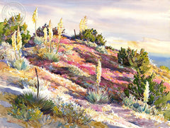 Yucca's and Turkish Rugging, Early Morning, California art by Glen Knowles. HD giclee art prints for sale at CaliforniaWatercolor.com - original California paintings, & premium giclee prints for sale