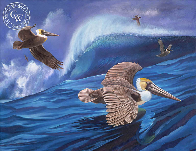 Pelicans, watercolor painting by Ken Goldman  (American art). Fine art giclée print reproduction by California Watercolor for wall decor.