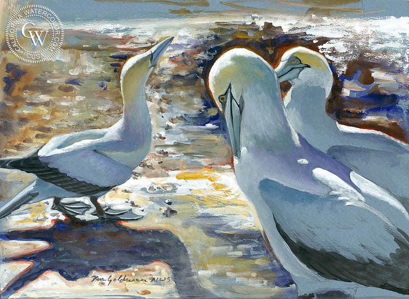 Gannet Colony in New Zealand, watercolor painting by Ken Goldman  (American art). Fine art giclée print reproduction by California Watercolor for wall decor.