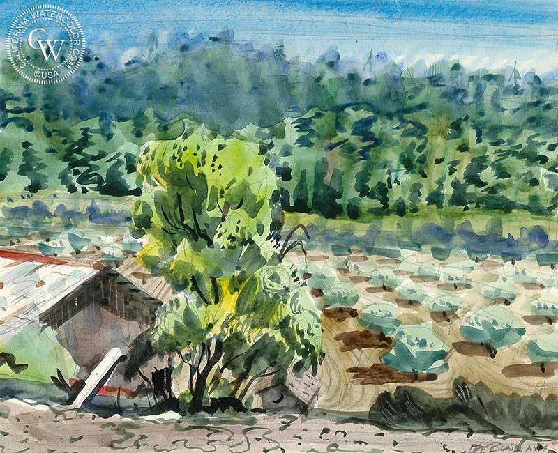 Crop Farm, watercolor painting by Lee Blair  (American art). Fine art giclée print reproduction by California Watercolor for wall decor.