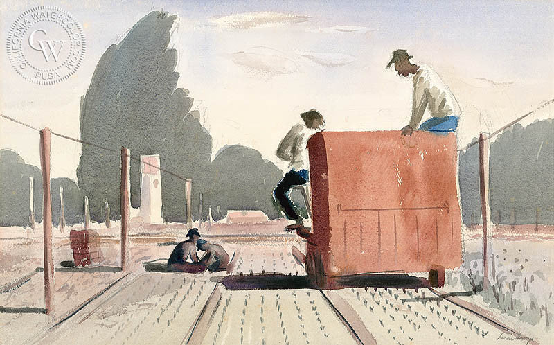 Topping Guayule Seedlings, c. 1940s, watercolor painting by Leon Amyx  (American art). Fine art giclée print reproduction by California Watercolor for wall decor.
