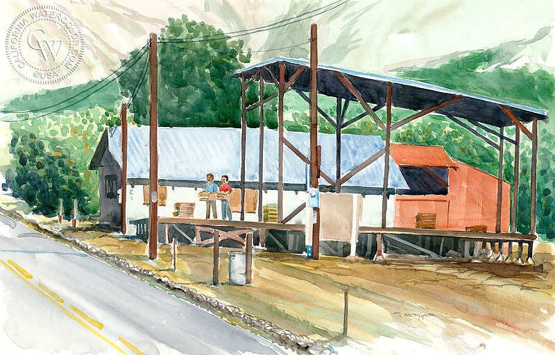 Colegrade, watercolor painting by Steve Santmyer  (American art). Fine art giclée print reproduction by California Watercolor for wall decor.
